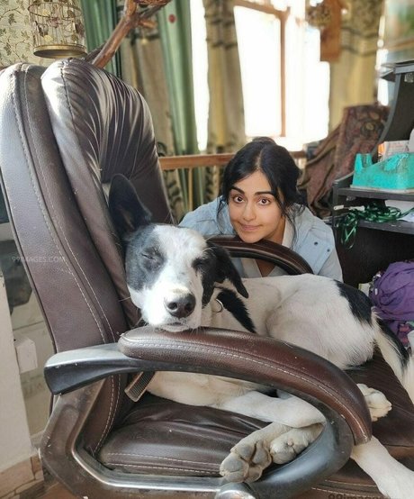 Adah Sharma star top pics