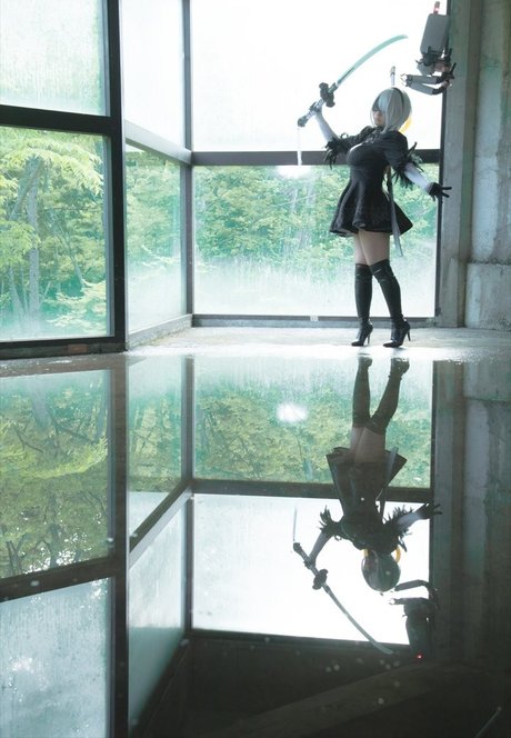 saku93 perfect star img