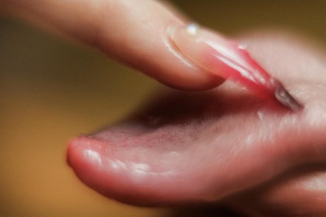 Lolawoo model hot img