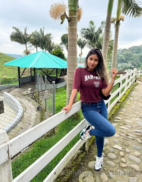 sofialeon nudes pornstar archive