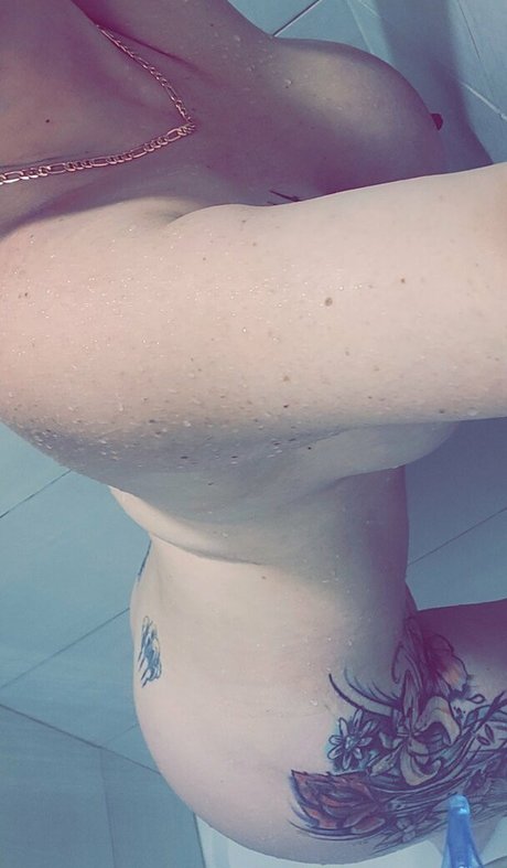 Sugar Krispy Kat perfect star galleries