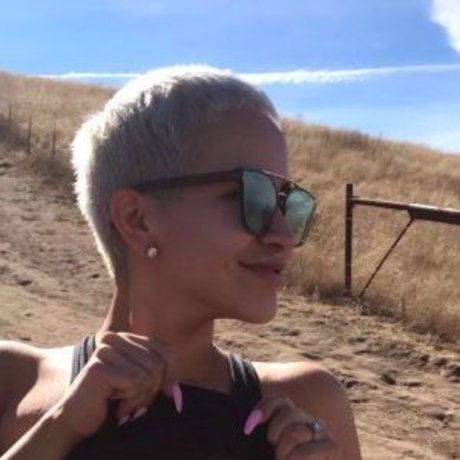 Stephmurves perfect model images