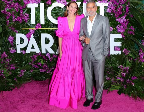 Julia Roberts nude star image