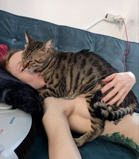 Infy Snow top star photo