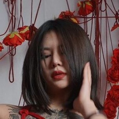 DeerWhite_ hd star galleries