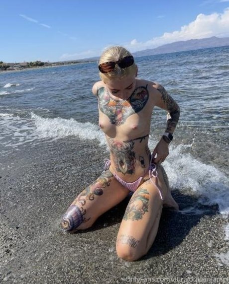 Aurajoutsenlampi model top gallery