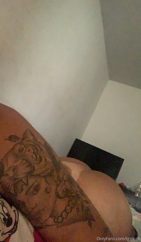 Carla Amaral model image