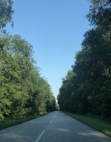 Nikki Irish pornstar free galleries