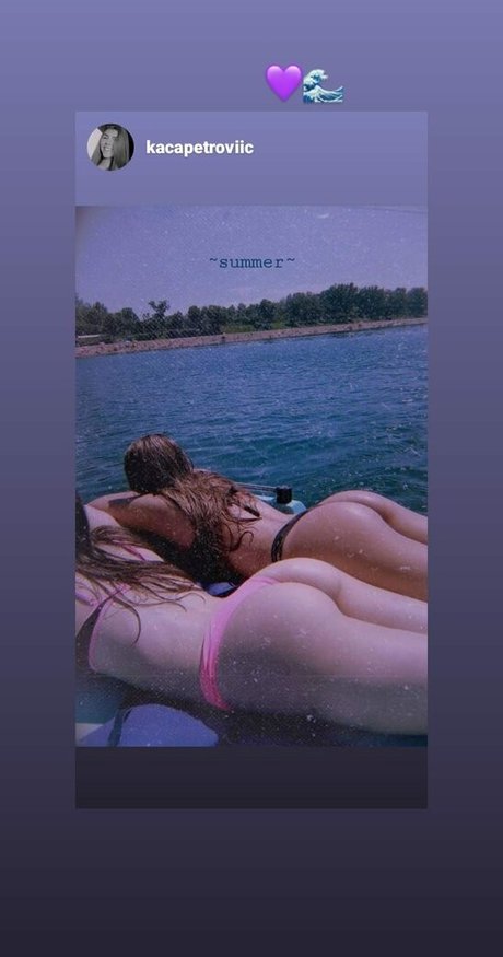 videnovicka beautiful star galleries