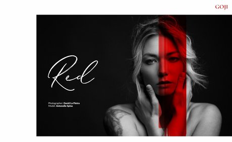 Antonell Spina Profile pic