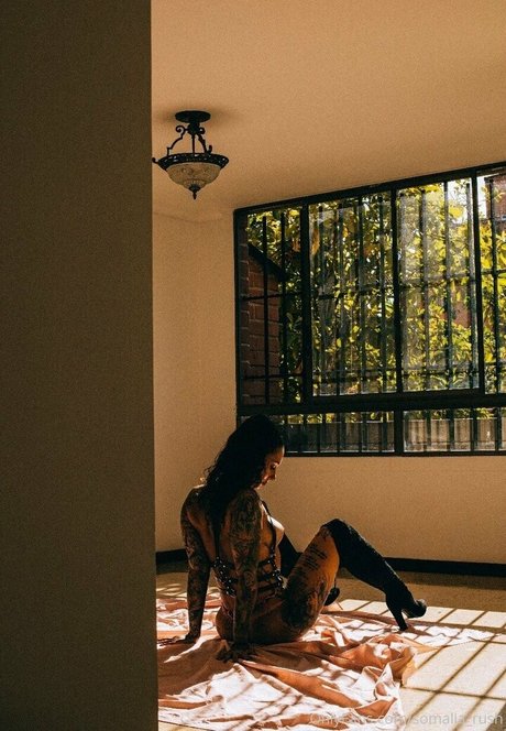 Sarah Schmidt model art picture