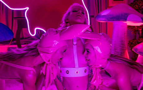 Demon Poptart free pornstar photos