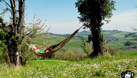 gay hardcore onlyfans art porn archive