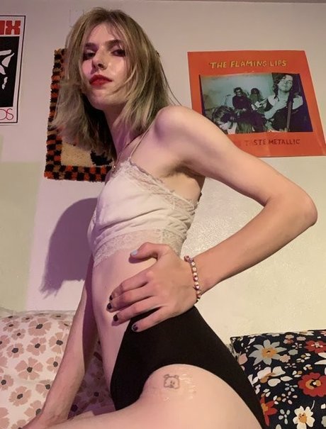 Starlite Anise perfect star pictures