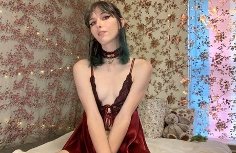 Starlite Anise nice star img