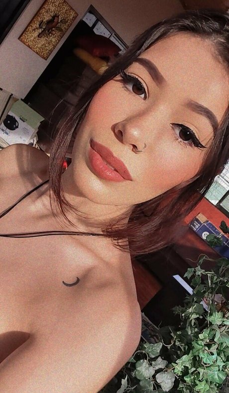 Anmongero free star images