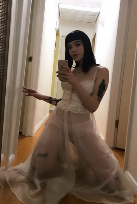 Vivadrag exclusive pornstar pics