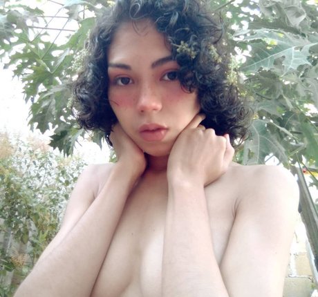 Maiyagami star art img