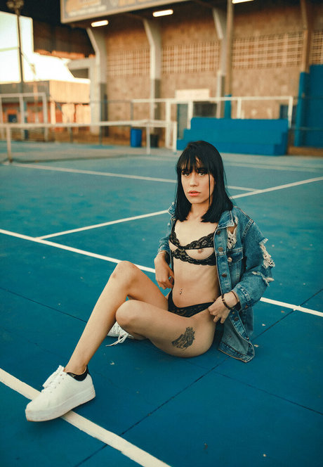 Projeto Se Expresse star nice photos