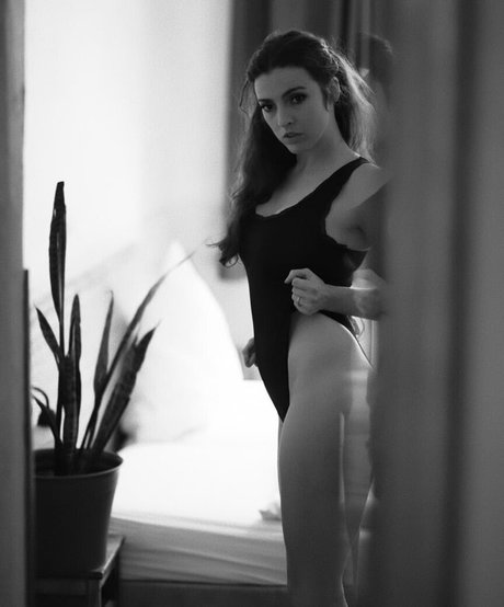 Fine Wolfanguar star art img