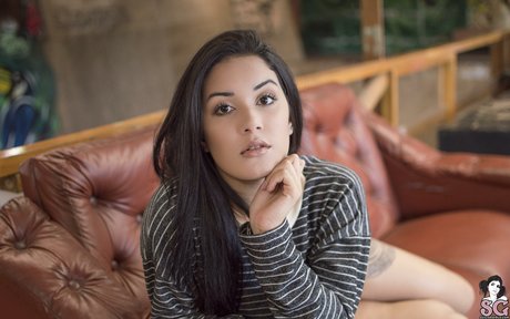 Erikabrasil nice star galleries