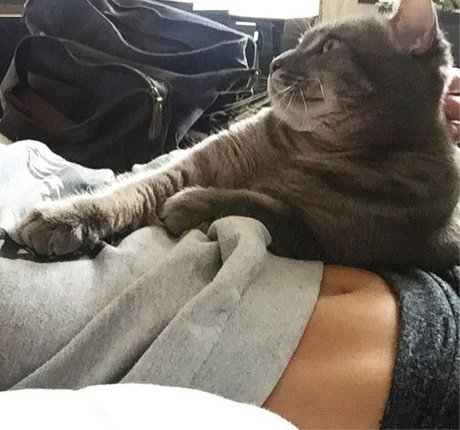 twomgovercsquared sexy star pics