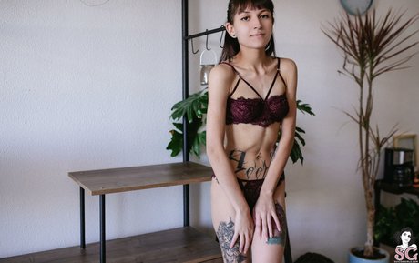 Wingsweak star erotic archive