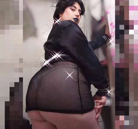 daymaquillajes4 star perfect gallery