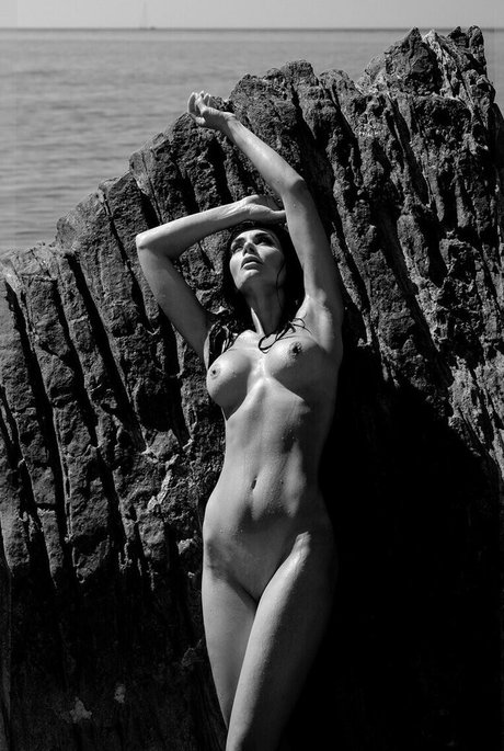 irmaimeof high quality star galleries