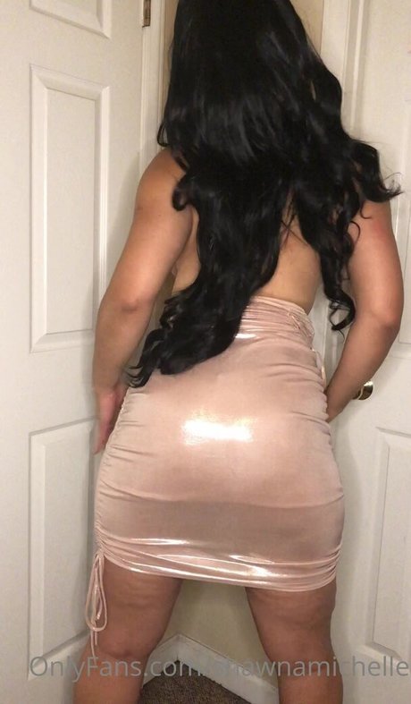 Shawnamichelle actress archive