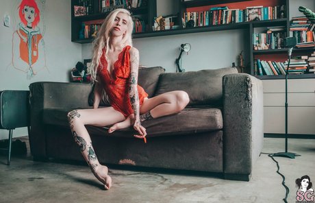 serenna top pornstar images