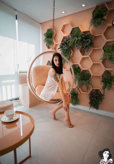 hellbloom nice star photo