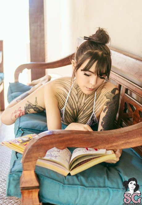 Tinta Nankin perfect star pictures