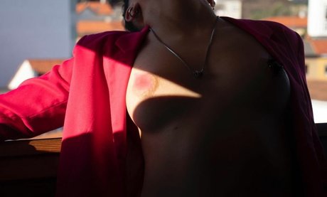 Laubrasil model images