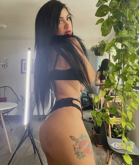 Amerikat free star pictures