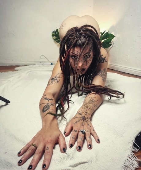 Bastet Beast beautiful star picture