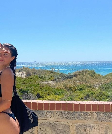 Jadeastokes model img