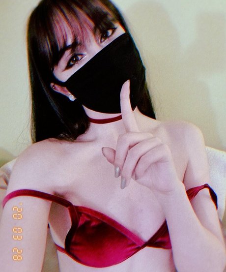 Foxxit beautiful star galleries