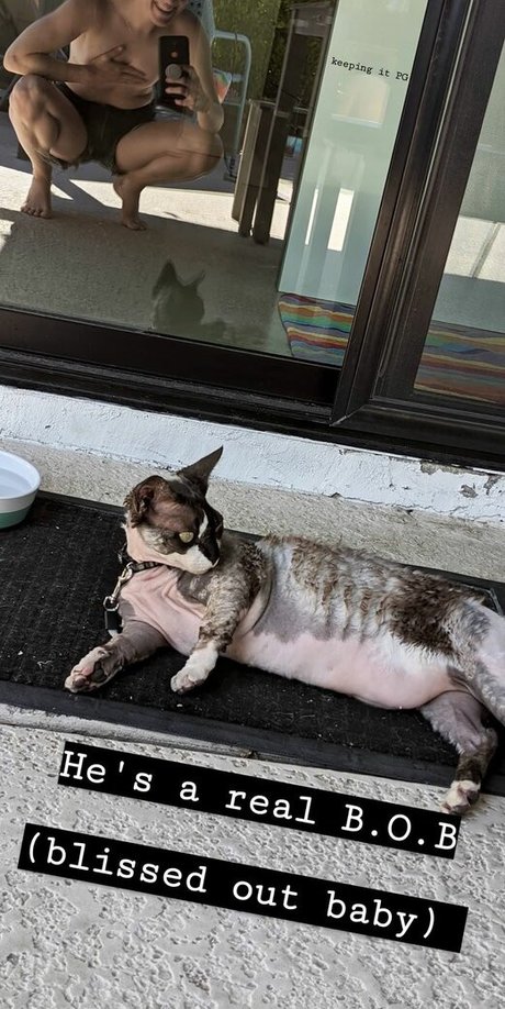 Hannah Hart art actress picture