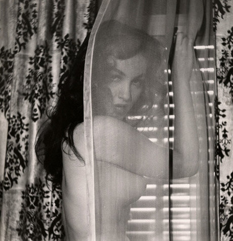 Juliemar erotic star archive