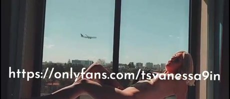 Vanessa9in perfect pornstar image