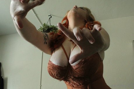 Oatmilkhunny top pornstar galleries