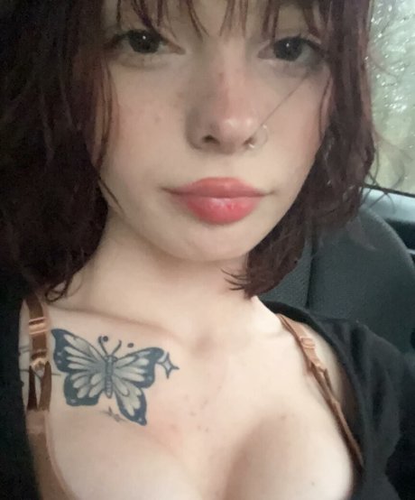 Nemetito star high quality photo