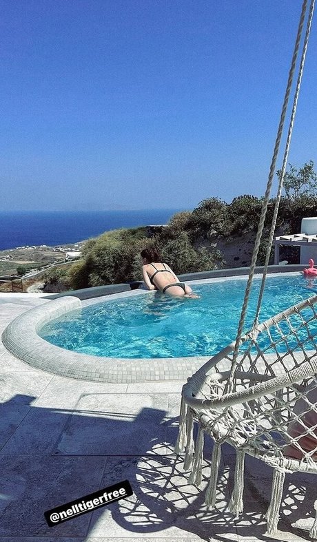 Nell Tiger free model img