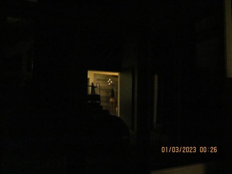 Caryn Marjorie nude model images