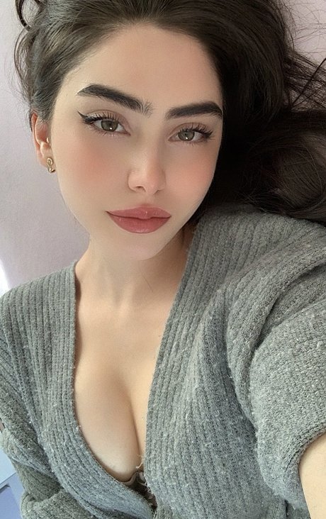 Mersweb model top images