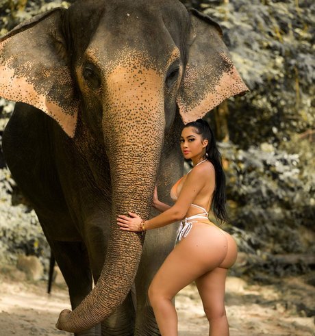 Jailyne Ojeda nudes pornstar photos