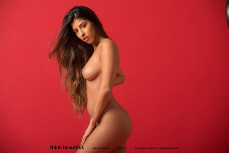 Shannon Singh nice star galleries