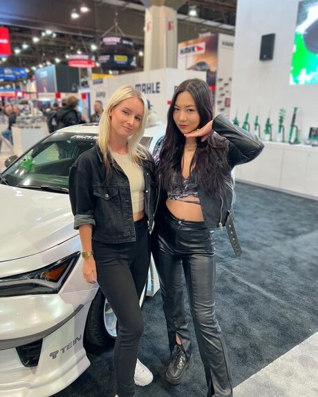 Sonja Reid_ top star gallery