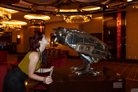 Jazz Reilly_ star free pics